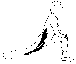 étirement psoas