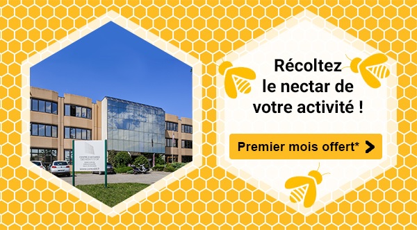 Centre d'Affaires Lyon - ruche